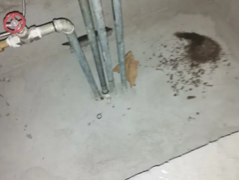 柳北卫生间测漏水价格明细